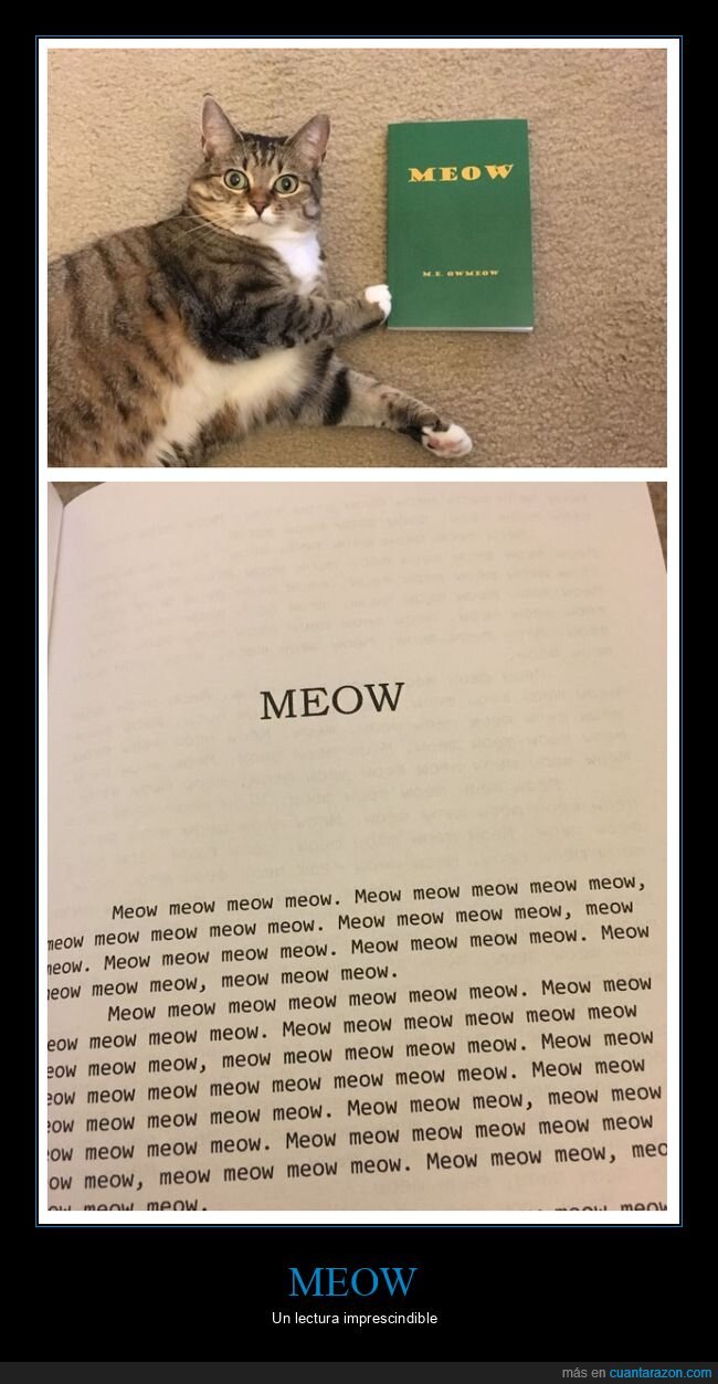 meow,libro,gato