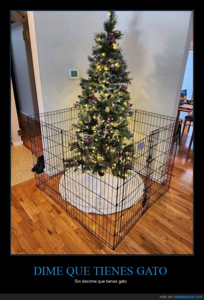 gato,árbol de navidad,rejas