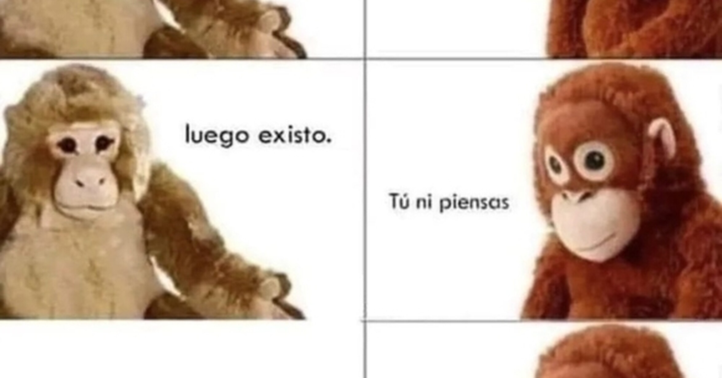 ¡Cuánta razón! / Pienso, luego existo