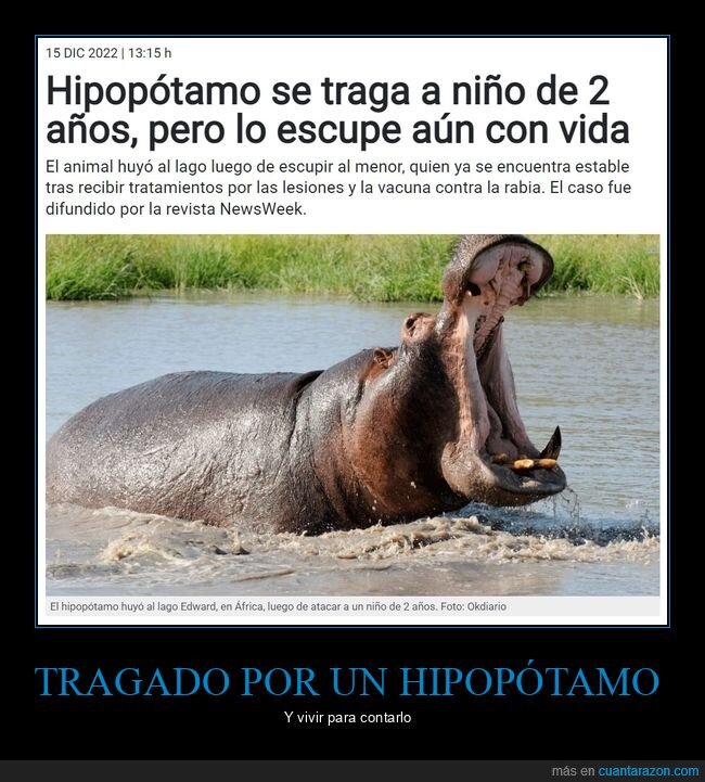 hipopótamo,tragar,niño