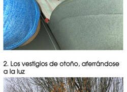 Enlace a Sorprendentes imágenes que son imposibles de ver todos los días