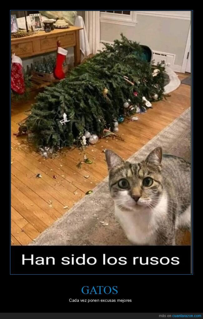 gato,árbol de navidad,rusos