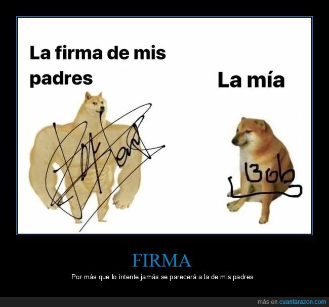 doge y cheems,firma,mierder,padres