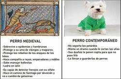 Enlace a Perro Medieval VS Perro Contemporáneo