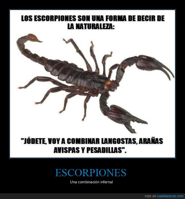escorpiones,combinación