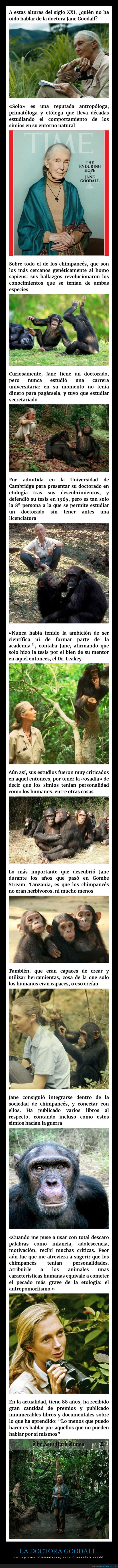 jane goodall,chimpancés