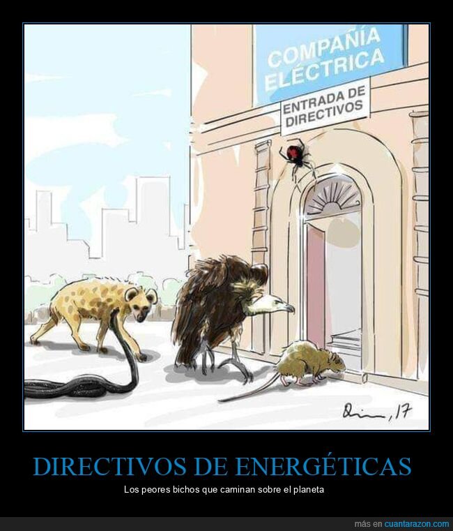 directivos,eléctricas