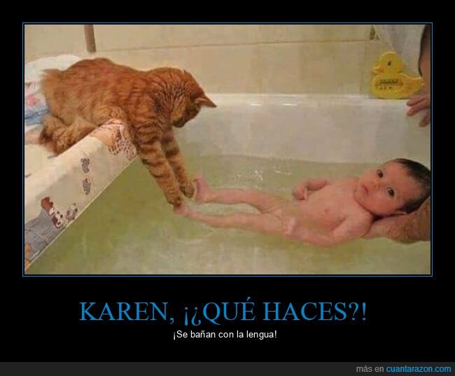 bebé,gato,bañando