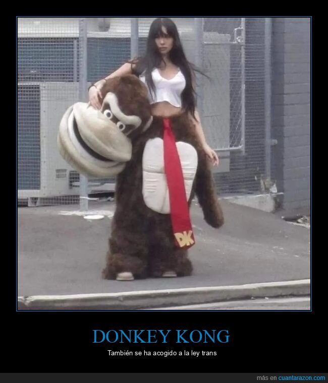 disfraz,donkey kong