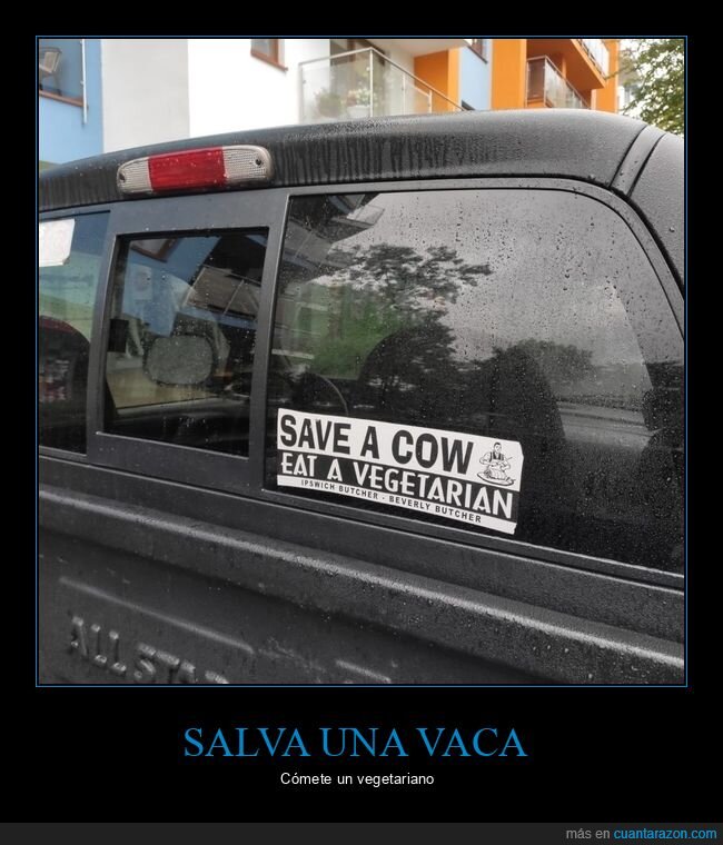 salvar,vaca,comer,vegetariano