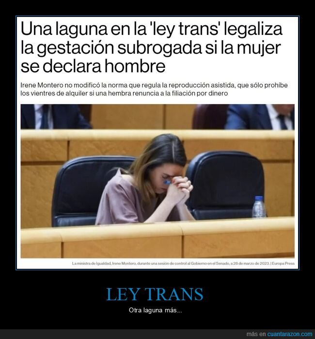 ley trans,gestación subrogada