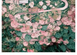 Enlace a La colorida naturaleza de Japón desde el aire