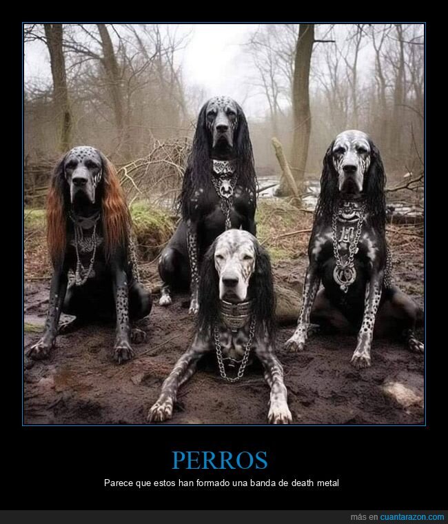 perros,death metal