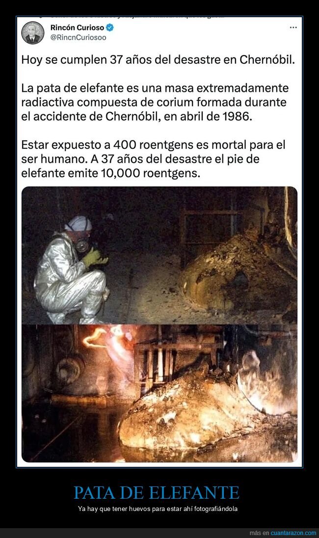 chernobyl,curiosidades,pata de elefante,radiación