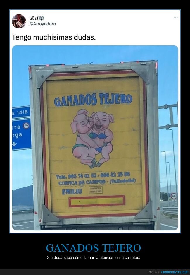 camión,cerdos,wtf