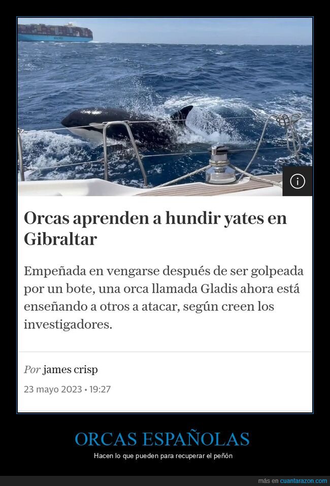 orcas,yates,gibraltar
