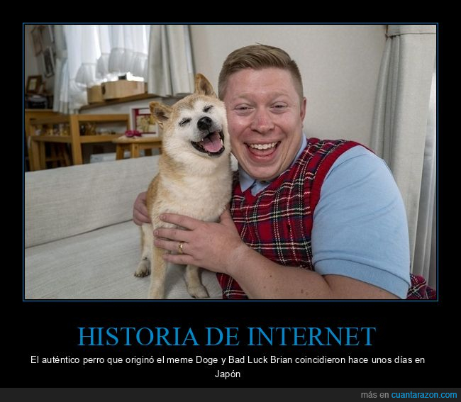 doge,bad luck brian