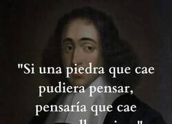 Enlace a ¿Qué pensaría una piedra?