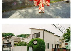 Enlace a Fotos del fotógrafo Shin Noguchi mostrando cómo es la vida diaria en Japón