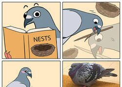 Enlace a Siguiendo las instrucciones para hacer un precioso nido