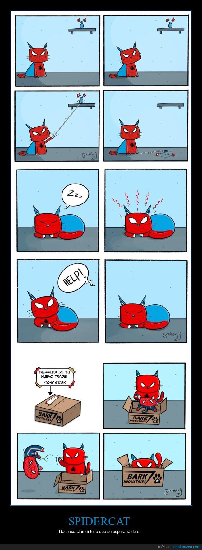 spidercat,gato,spiderman