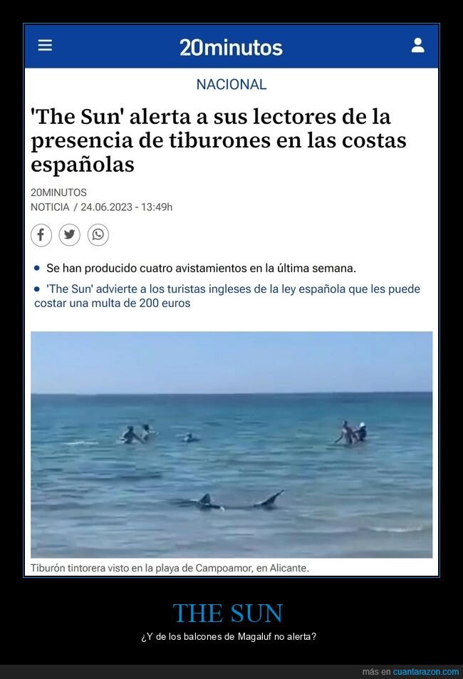the sun,alertar,tiburones,costas españolas