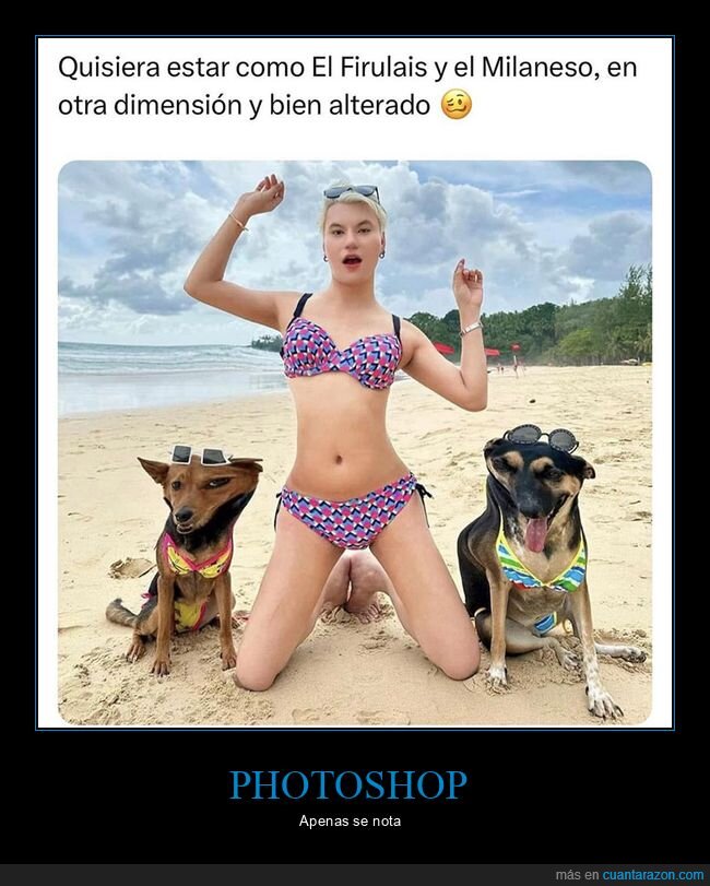 fails,perros,photoshop