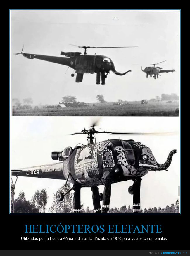 helicópteros,india,elefantes