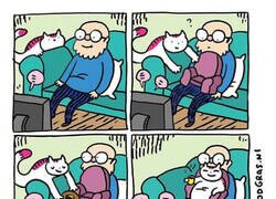 Enlace a Este talentoso ilustrador holandés crea historietas agradables sobre las aventuras de su gato que te alegrarán el día