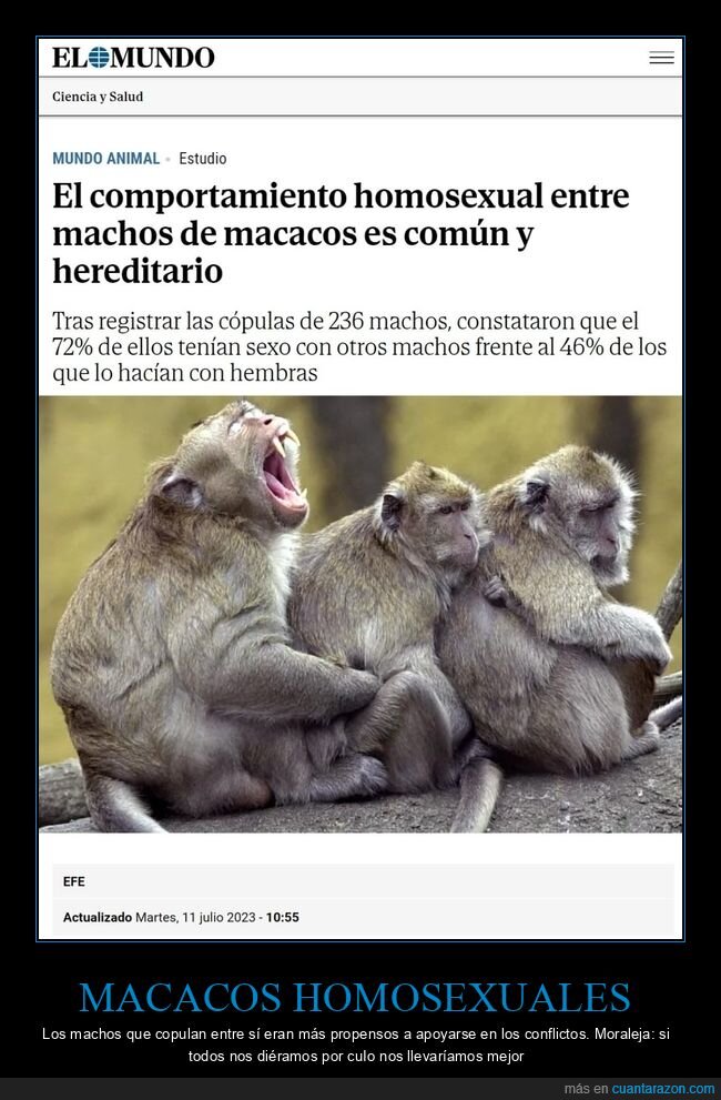 macacos,homosexuales
