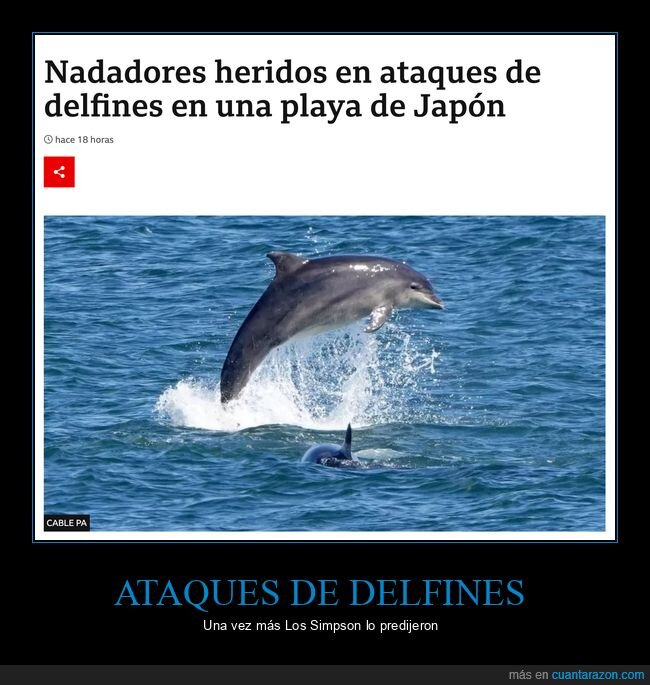 ataques,delfines,japón
