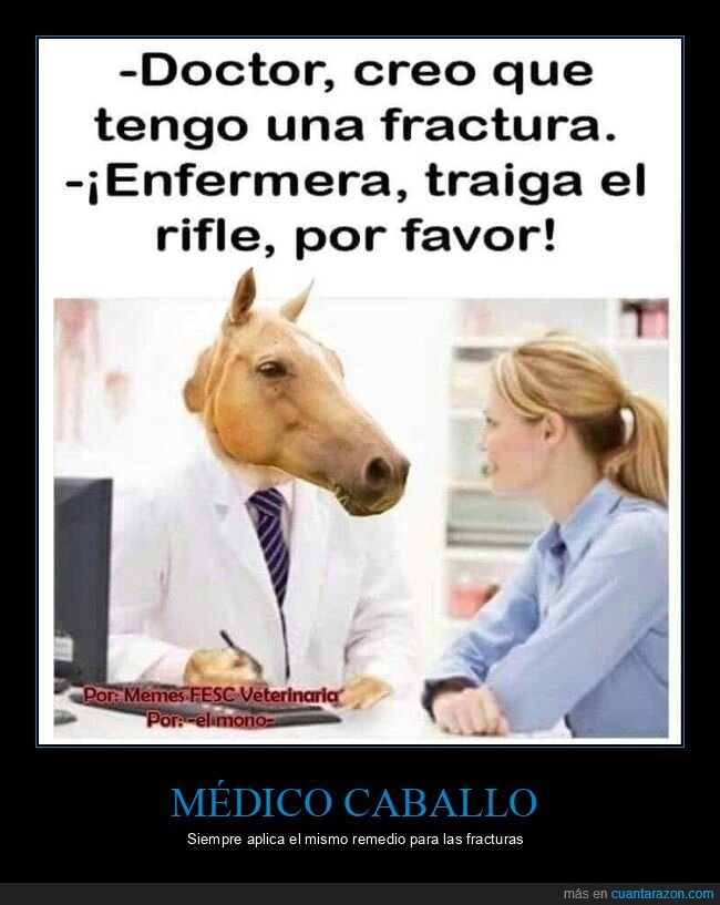 caballo,fractura,rifle