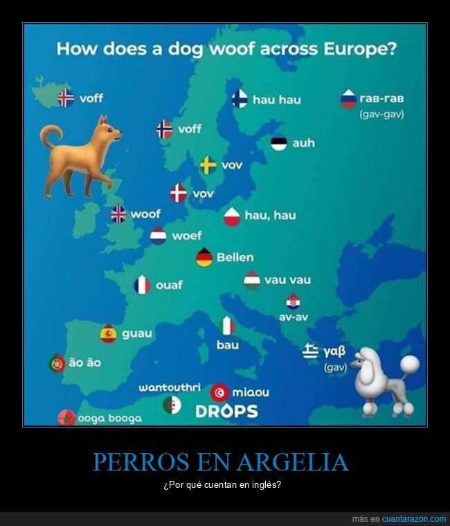 argelia,países,perros