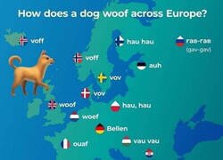 Enlace a ¿Cómo ladran los perros en distintos países?
