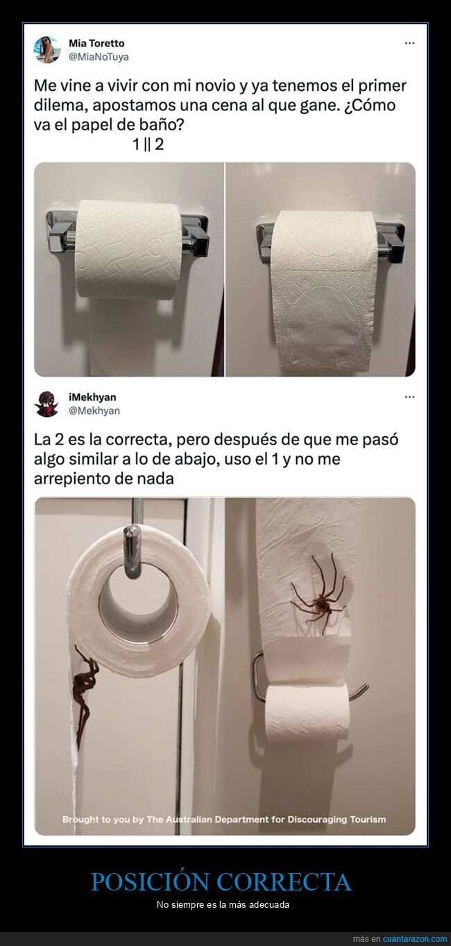 papel higiénico,posición,araña