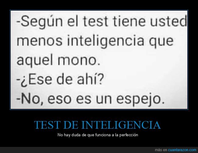 test de inteligencia,mono,espejo