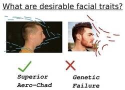 Enlace a Rasgos faciales aerodinámicos