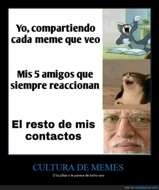 memes,entender,pillar,amigos