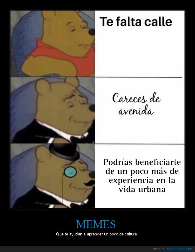 meme,te falta calle,winnie the pooh