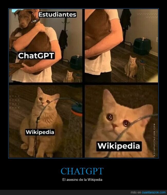 gato,triste,chatgpt,wikipedia