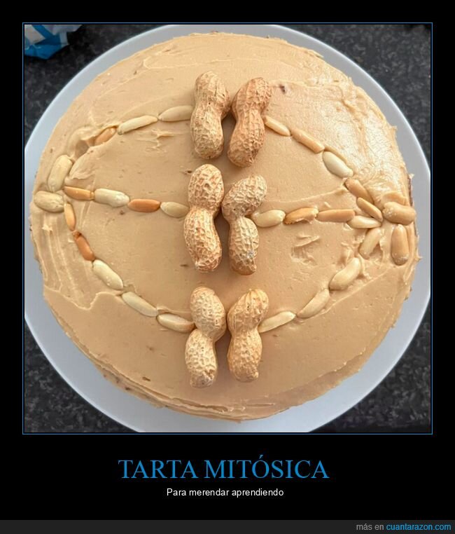 tarta,mitosis