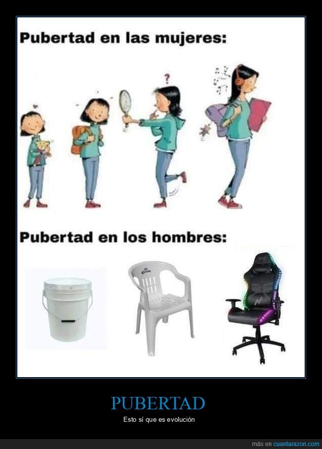 sillas,gamer,hombres,mujeres,pubertad