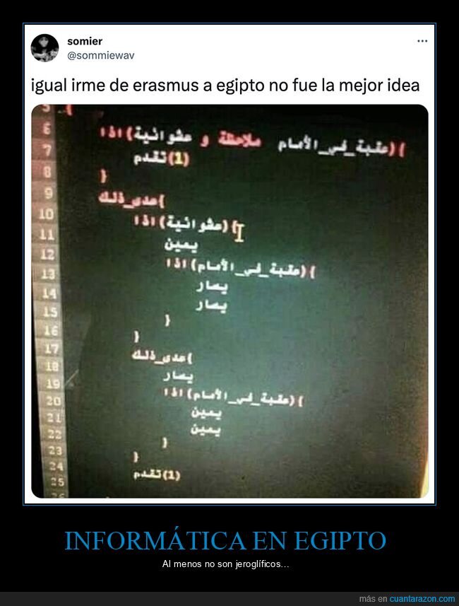 árabe,código,egipto,erasmus,programación