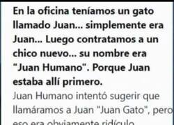 Enlace a Juan VS Juan Humano