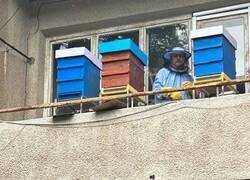 Enlace a Vecino apicultor