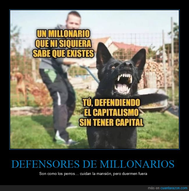 millonarios,defendiendo,capitalismo,perro