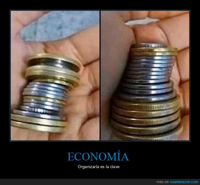 monedas,economía,organizar