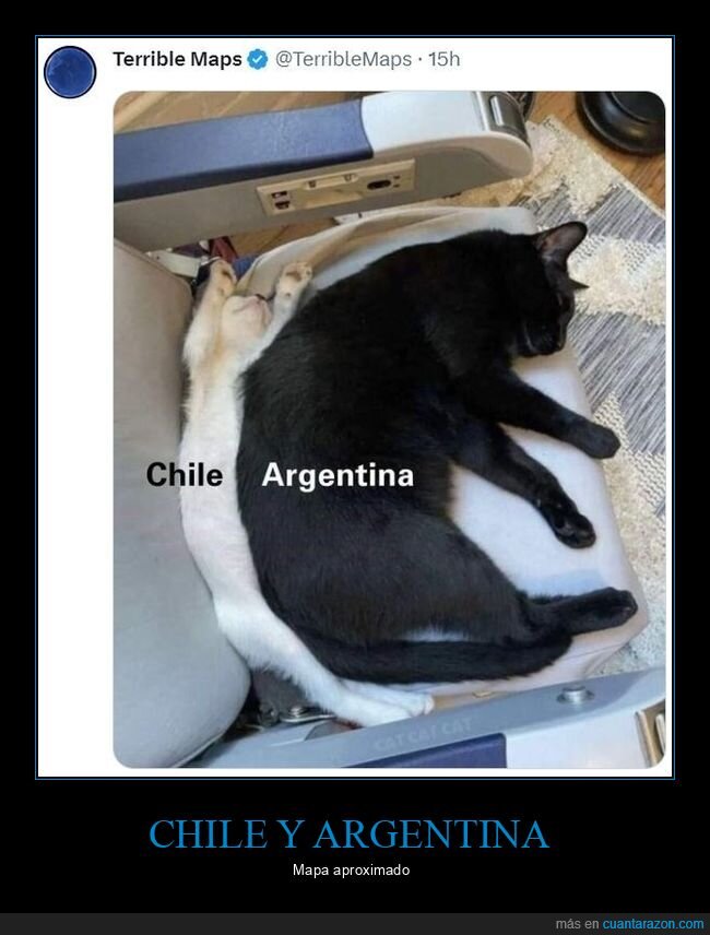 chile,argentina,gatos
