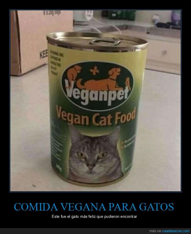 comida,gatos,vegano