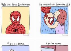 Enlace a Las distintas facetas de Spiderman